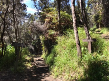 Kilauea Iki Trail