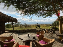 Maasai Lodge